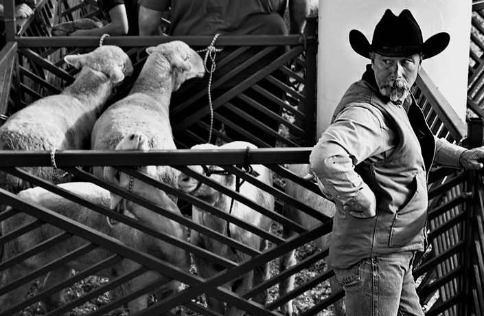 state fair